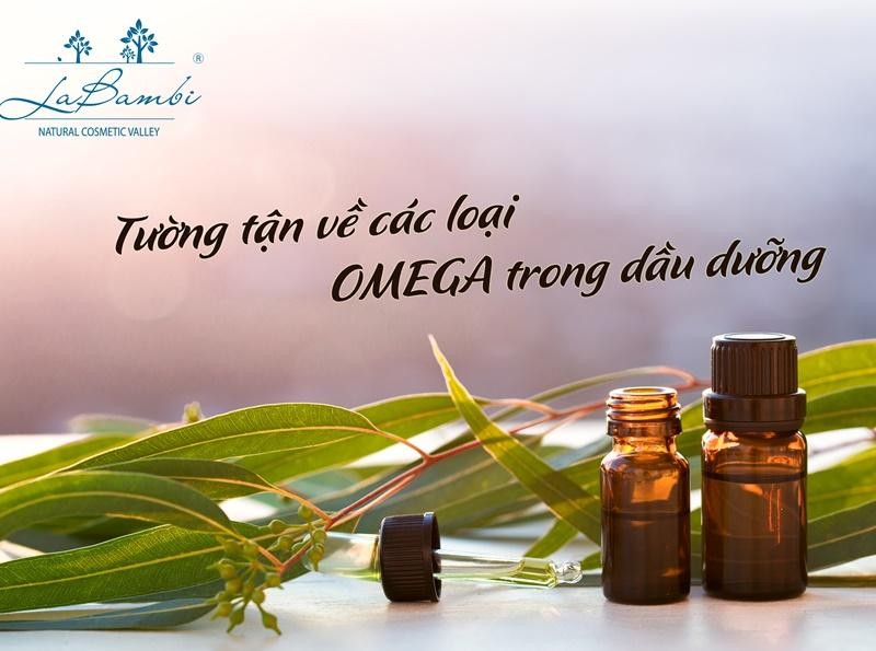 Acid béo là gì? Omega là gì? Chúng có tác dụng dưỡng da như thế nào?