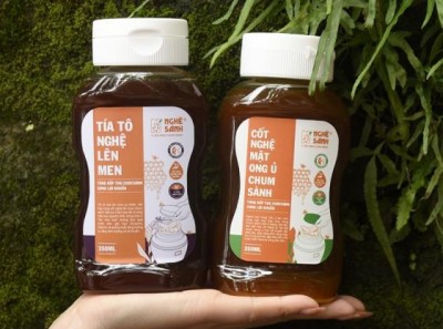 Khi cơ thể mệt mỏi, hãy để Nghệ Sành "ủ lại sức sống" cho bạn