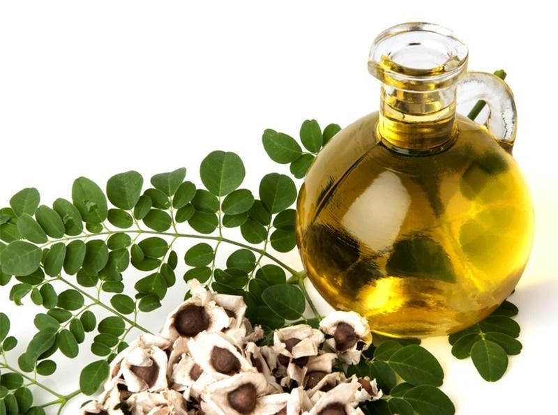 Tất tần tật về dầu hạt chùm ngây - Moringa Oil (Phần 1)